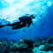 1539410164 scuba diving 1.jpg?w=60&h=60&dpr=1